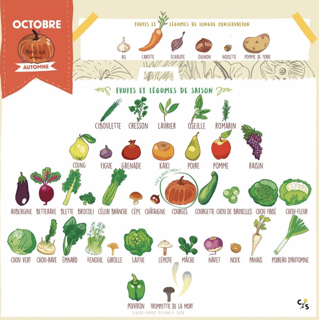 Calendrier des fruits et légumes de saison d'Octobre