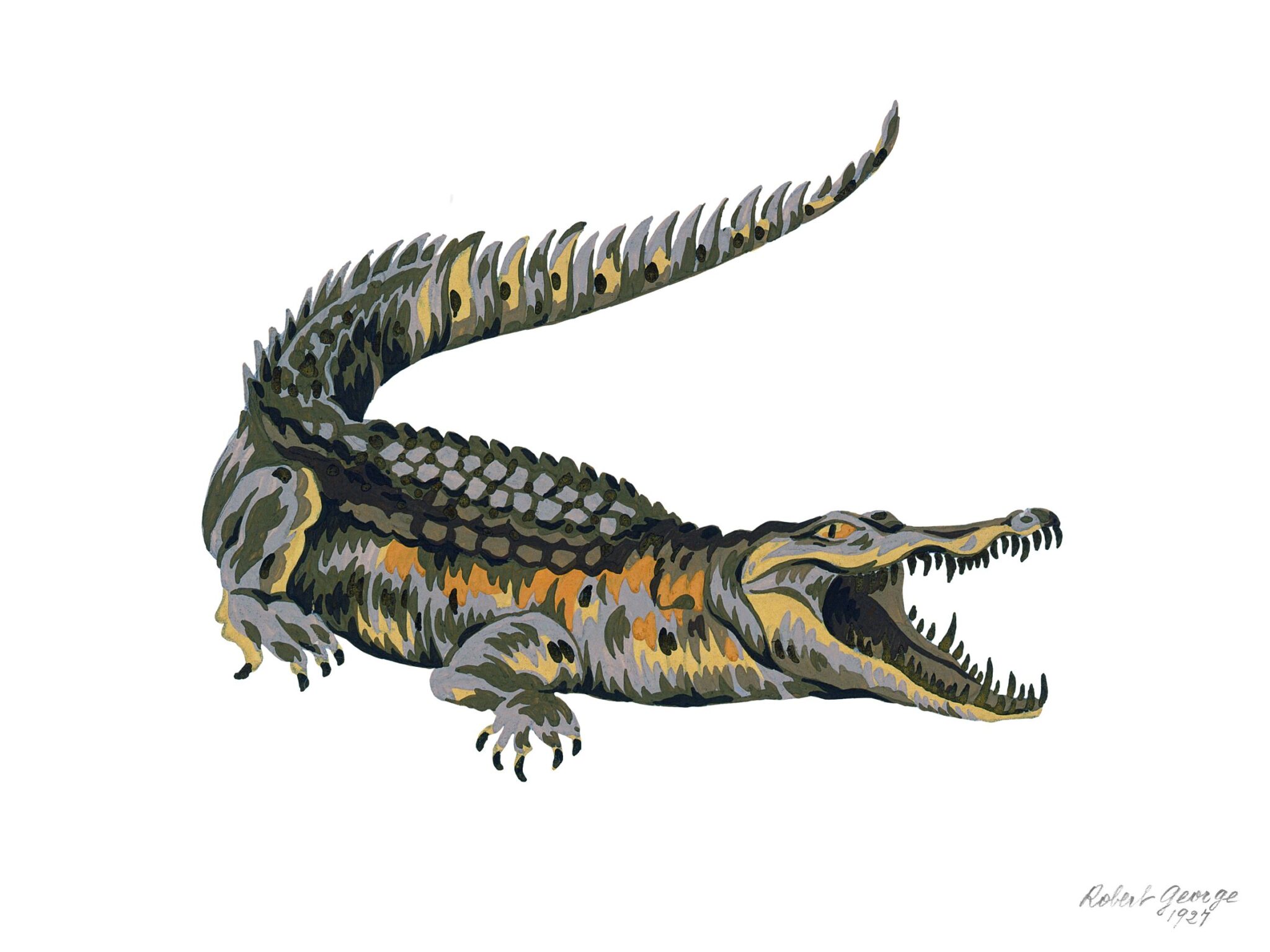 Crocodile de Robert George